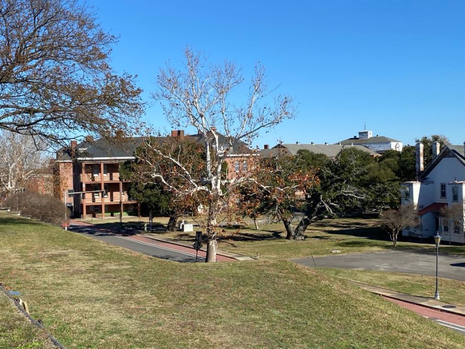 A look inside the moat taken from the Pet Cemetery