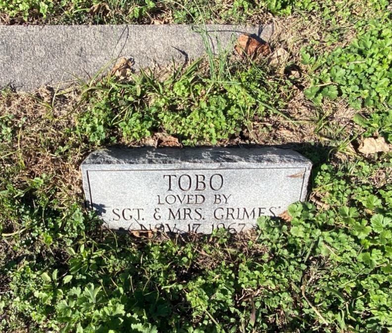 Pet grave at Fort Monroe pet cemetery.