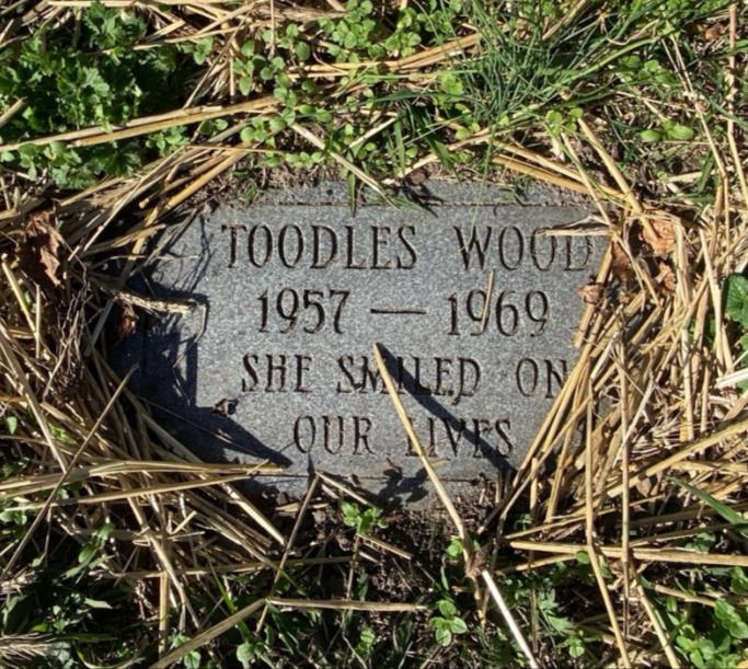 Pet grave at Fort Monroe pet cemetery.