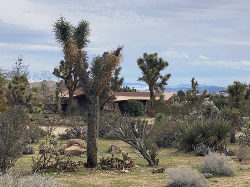 A bungalow for rent at the Institute for MentalPhysics