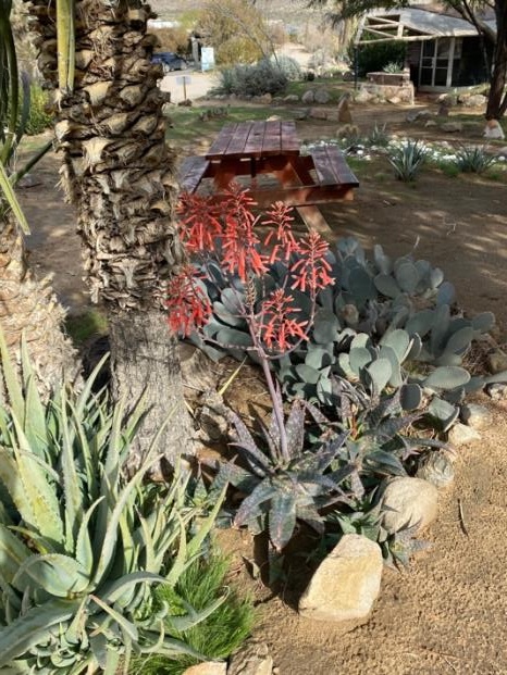 Institute for MentalPhysics