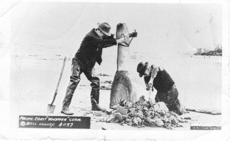Gag postcard from the early 20th century featuring a monster geoduck! AI fakery of the day!