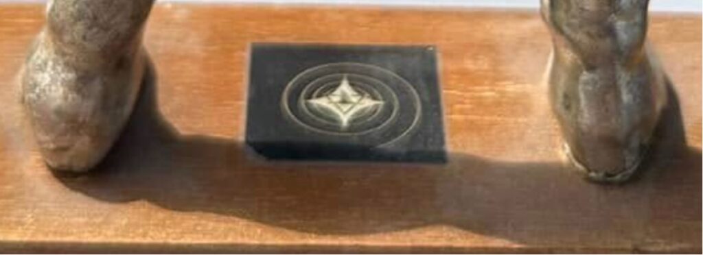 simple spiral design company logo between Buck’s feet