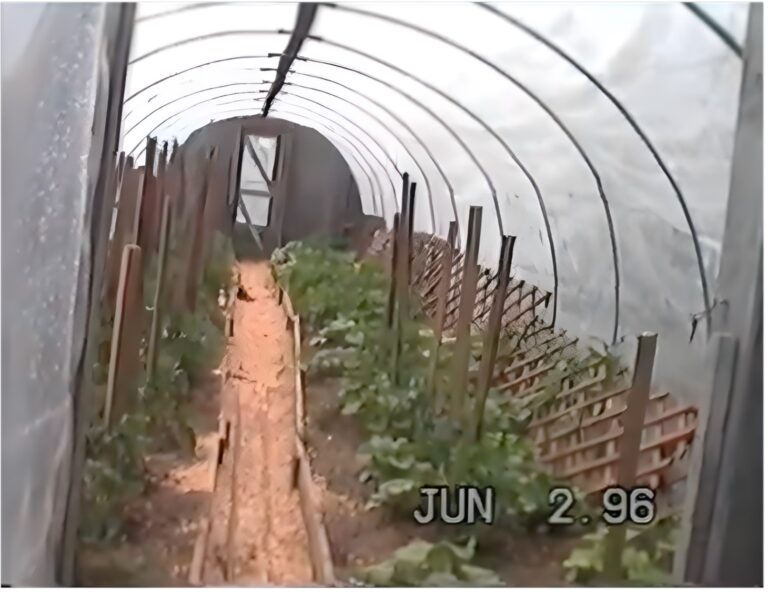 One of many greenhouses at The Farm - Game Creek